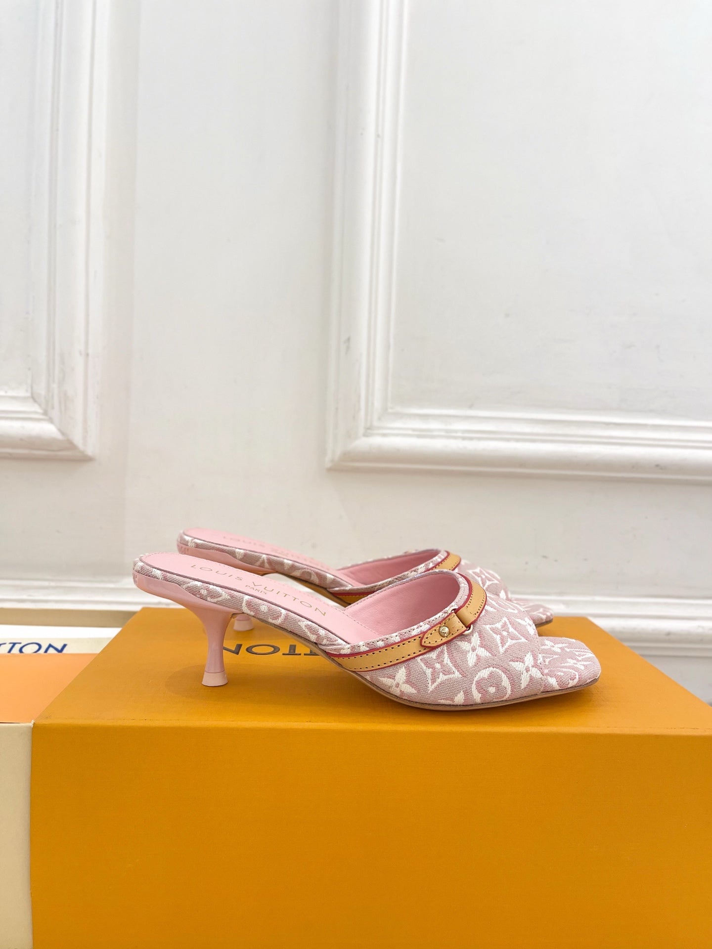 Louis Vuitton 6Am Mule
